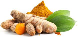 ingredients-02-kunyit
