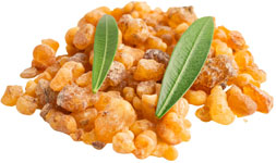 ingredients-05-bosweilla-strata